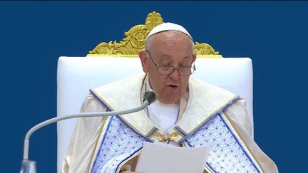 Visite du pape à Marseille : messe géante au stade Vélodrome (Franceinfo)