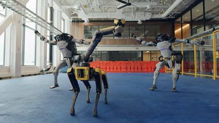 La société Boston Dynamics a diffusé de nouvelles images étonnantes de ses robots à l'occasion du passage à la nouvelle année. La séquence illustre les progrès réalisés par ses ingénieurs en robotique. (BOSTON DYNAMICS / CAPTURE D'ECRAN YOUTUBE)