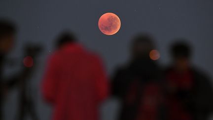 Des curieux regardent une éclipse de Lune à Melbourne, en Australie, le 28 juillet 2018. (WILLIAM WEST / AFP)