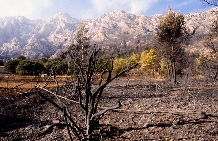 Reproduction d'une photo de l'incendie qui avait dévasté le massif Sainte-Victoire en août 1989 (MERCIER SERGE / MAXPPP)