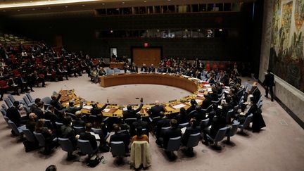 Vote au Conseil de sécurité de l'ONU sur une résolution américaine prolongeant le mandat des enquêteurs sur les armes chimiques en Syrie, le 16 novembre 2017 à New York.&nbsp; (LUCAS JACKSON / REUTERS)