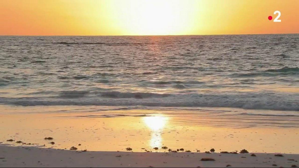 Eleuthera Bahamas and le Sable Rose