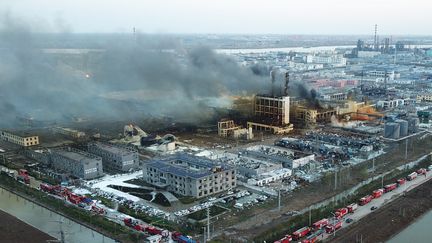 L'usine de Yancheng (Chine), le 22 mars 2019. (STRINGER / IMAGINECHINA / AFP)