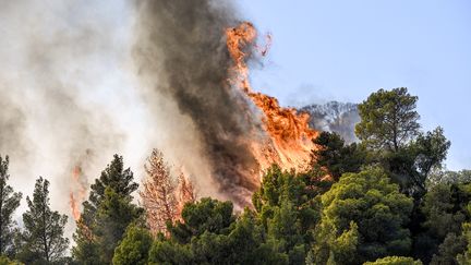 Un feu de forêt, près de Prodromos, à 100 kilomètres au nord-est d'Athènes (Grèce), le 21 août 2023. (SPYROS BAKALIS / AFP)