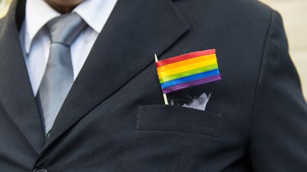 Le Luxembourg est devenu le 11e pays europ&eacute;en &agrave; autoriser le mariage des couples homosexuels, le 18 juin 2014. (YASUYOSHI CHIBA / AFP)