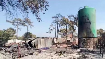 Incendies en Gironde : cinq campings complètement détruits