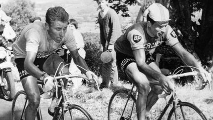 Le duel légendaire entre Jacques Anquetil et Raymond Poulidor, lors de l'ascension du puy de Dôme sur la 20e étape du Tour de France, le 12 juillet 1964. (STAFF / AFP)