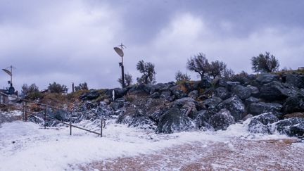 passage de la tempête Ciaran, à Anglet (Pyrénées-Atlantiques), le 3 novembre 2023. (PIERRE LARRIEU / HANS LUCAS)