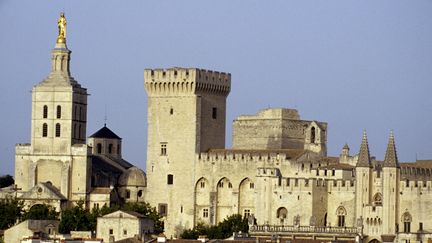 A Avignon (Vaucluse), le Front national a devanc&eacute; le PS et l'UMP lors du premier tour des &eacute;lections municipales, le 23 mars 2014. (ANTONELLO LANZELLOTTO / TIPS / AFP)