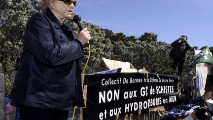 Eva Joly dans le Var à une manifestation contre des forages en mer (BORIS HORVAT / AFP)