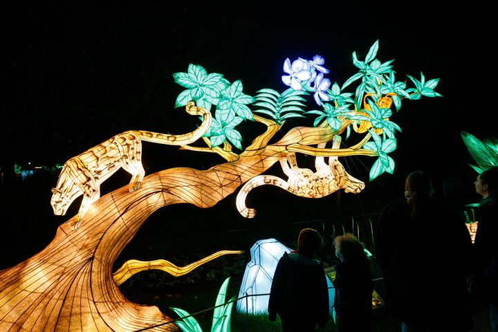 Cinquième édition du parcours "En voie d’illumination" organisé par le Muséum national d’Histoire naturelle de Paris au Jardin des Plantes, le 17 novembre 2023. (DIMITAR DILKOFF / AFP)