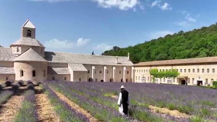 Près de&nbsp;Gordes, au&nbsp;cœur&nbsp;du&nbsp;Lubéron, se trouvent de magnifiques champs de lavande de l'abbaye de&nbsp;Sénanque.&nbsp;Ce monastère cistercien est toujours en activité. (FRANCE 2)