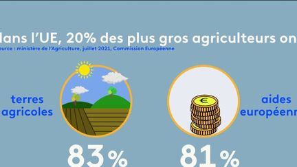 Le sénateur écologiste Yannick Jadot a affirmé ce week-end sur Franceinfo que 80% de l'aide européenne est versée aux agriculteurs les plus riches. Lundi 22 janvier, le journaliste Luc Brisson de la cellule Vrai ou faux a vérifié ce chiffre.