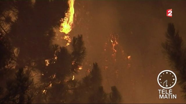 Incendies en Corse.