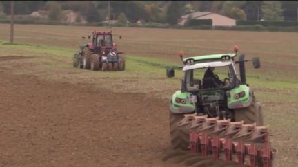 Projet de loi d'orientation sur l'agriculture : que prévoit le texte ? (Franceinfo)