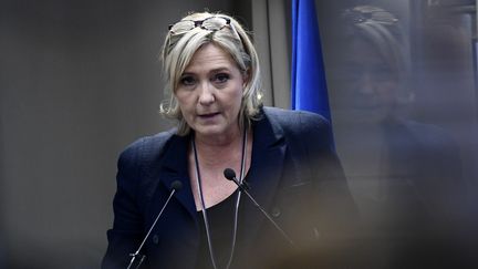 La présidente du Front national et candidate à la présidentielle, Marine Le Pen, le 9 décembre 2016, lors d'un meeting à Paris. (MARTIN BUREAU / AFP)