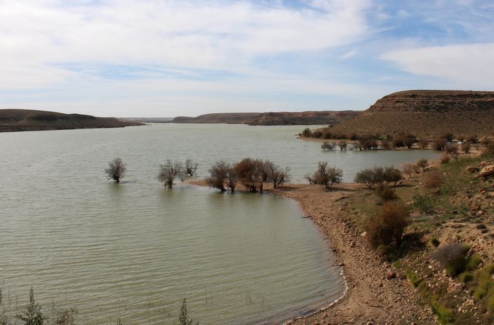 L'eau douce du lac de Wadi Kaam est d'abord destinée à l'irrigation. Le 2 février 2019. (AYMAN AL-SAHILI / REUTERS)