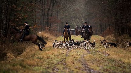 Des chasseurs à courre dans une forêt près de Chatenoy (Centre-Val de Loire). (LIONEL BONAVENTURE / AFP)