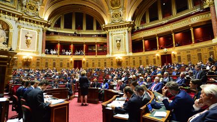 Le Sénat français, le 24 septembre 2019, lors des questions au gouvernement (photo d'illustration). (DANIEL PIER / AFP)