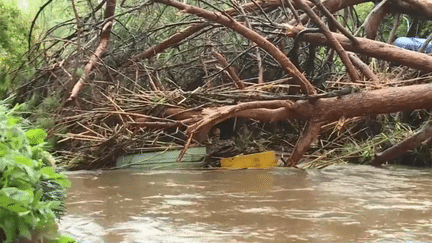 La chutes de troncs d'arbres a bouché le passage de cours d'eaux, favorisant les inondations (CAPTURE D'ÉCRAN FRANCE 3)