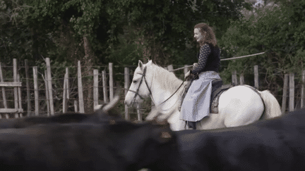 Camargue : à la rencontre de deux manadières (France 2)