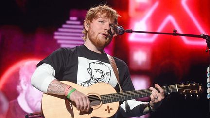 Ed Sheeran, champion de la tournée la plus lucrative de l'histoire.
 (Jason L.Nelson/AdMedia/SIPA)