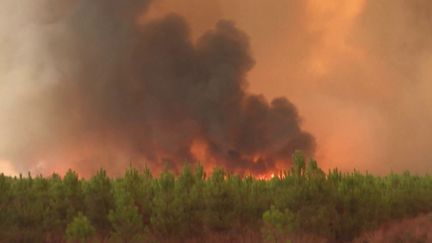 Cette année, les températures ont été les plus chaudes jamais enregistrées lors d'une saison automnale en France depuis 1900. Ces records montrent l'accélération du changement climatique et l'urgence à agir. (FRANCEINFO)