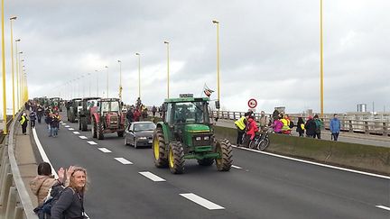 &nbsp; (Image impressionnante de la file sans fin de tracteurs anti NDDL sur le pont de Cheviré Nantes © France Bleu Loire Océan)