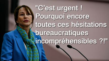 Ségolène Royal, ancienne ministre PS, sur Twitter (message effacé depuis), le 23 mars 2020. (SIPA)