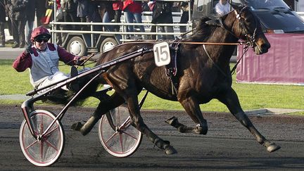 Le trotteur fran&ccedil;ais Ready Cash driv&eacute; par Franck Nivard, lors de sa premi&egrave;re victoire dans le Prix d'Am&eacute;rique, le 30 janvier 2011. (BERTRAND LANGLOIS / AFP PHOTO)