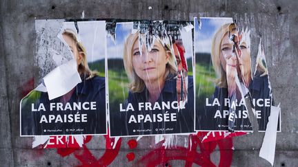 Des affiches de Marine Le Pen, le 23 février 2017 près de Lyon (Rhône). (LAURENT CERINO / REA)