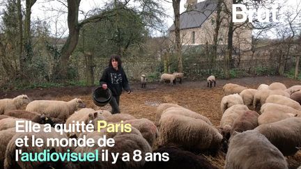 À 39 ans, Stéphanie a décidé de troquer sa carrière à Paris contre un élevage de brebis en Normandie. Brut l'a rencontrée.