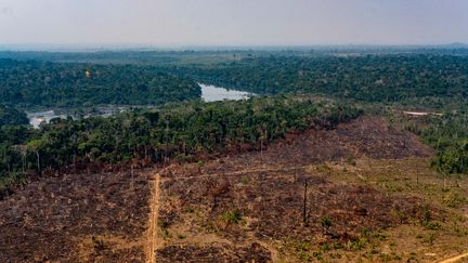 La déforestation en Amazonie (Brésil) vue du ciel, le 29 août 2019. (MAYKE TOSCANO / MATO GROSSO STATE COMMUNICATION  / AFP)