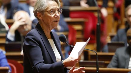 La première ministre, Elisabeth Borne, à l'Assemblée nationale, à Paris, le 29 novembre 2023. (LUDOVIC MARIN / AFP)