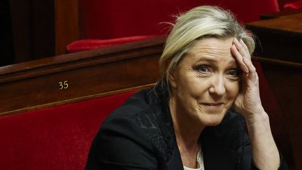 Marine Le Pen à l'Assemblée nationale, à Paris, le 19 décembre 2023. (LUDOVIC MARIN / AFP)