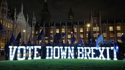 Des personnes manifestent contre le Brexit devant le Parlement britannique, le 10 décembre 2018 à Londres (Royaume-Uni).&nbsp; (TOLGA AKMEN / AFP)