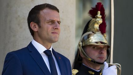 Emmanuel Macron à l'Élysée, le 18 juillet 2017.&nbsp; (IAN LANGSDON / EPA)