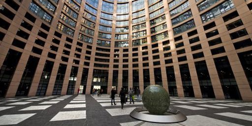 Dans le Parlement de Strasbourg (19 avril 2013) (AFP - Photononstop - TIPS - Hermes Image)