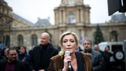 Marine Le Pen manifeste devant le Sénat contre led roit de vote des étrangers (MARTIN BUREAU / AFP)