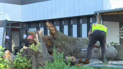 Mardi 25 octobre, les habitants de&nbsp;Bihucourt&nbsp;sont solidaires les uns des autres après le passage d’une tornade.&nbsp;La journaliste Alice&nbsp;Rougerie&nbsp;fait le point en direct de la commune. (FRANCE 3)