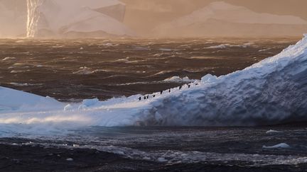 La banquise en Antarctique est à son niveau le plus bas jamais enregistré. Photo d'illustration. (MEDIADRUMWORLD.COM / DAVID MANTR / MAXPPP)