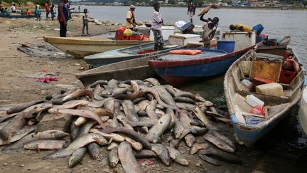 Malgré l'interdiction décrétée, la pêche continue sur le fleuve Ogooué, ce 12 août 2019 à la hauteur de Lambaréné au Gabon. (STEVE JORDAN / AFP)