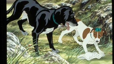 Film d&#039;animation de Martin Rosen (Grande-Bretagne) - 1h43 - Sortie : 4 avril
 
Deux chiens, Snitter et Rowf, s’évadent d’un laboratoire de recherche et essaient de survivre avec l’aide d’un renard futé, The Tod. Alors que le directeur du laboratoire essaie de cacher cette évasion, des brebis sont retrouvées mortes et une rumeur se repend : les chiens seraient porteurs de la peste…
 (Splendor Films)