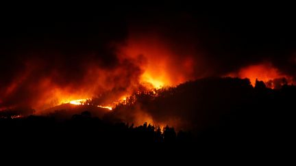 Les pins et eucalyptus en flammes sur les collines situées entre les bourgades de Pedrogao Grande, Figueiro do Vinhos et Castanheira de Pera. (RAFAEL MARCHANTE / REUTERS)