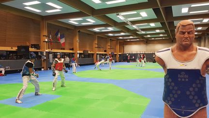 Séance d'entraînement à l'INSEP pour l'équipe de France de taekwondo (CECILIA BERDER / FRANCEINFO / RADIO FRANCE)