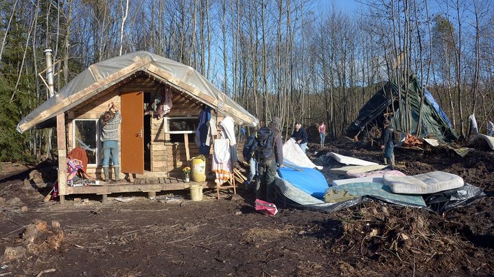 Une cabane des opposants &agrave; l'a&eacute;roport de Notre-Dame-des-Landes, photographi&eacute;e le 25 novembre 2012. (DAMIEN MEYER / AFP)