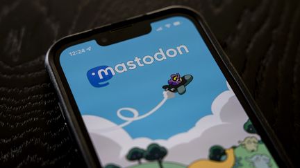 De nombreux utilisateurs migrent vers le réseau social Mastodon, depuis le rachat de Twitter par Elon Musk. (ROBIN VAN LONKHUIJSEN / ANP MAG / AFP)