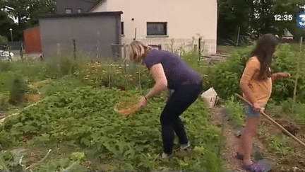 Environnement : la famille Juszczak a fui la pollution pour s'installer en Bretagne