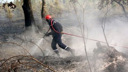 Un pompier travaille pour éteindre un incendie de forêt à Louchats, dans l'ouest de la France, le 19 juillet 2022. (ROMAIN PERROCHEAU / AFP)