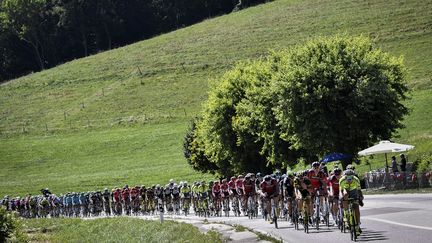 Le peloton du Tour de France lors de la 16e étape entre Moirans-en-Montagne et Berne, le 18 juillet 2016. (JEFF PACHOUD / AFP)